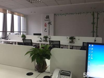 寧波杉宇信息咨詢 專業服務助力企業發展